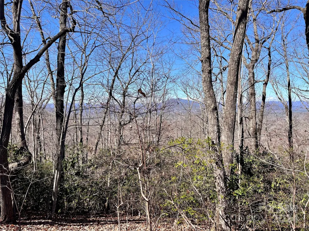 Lot 147 Big View Drive Marion, NC 28752