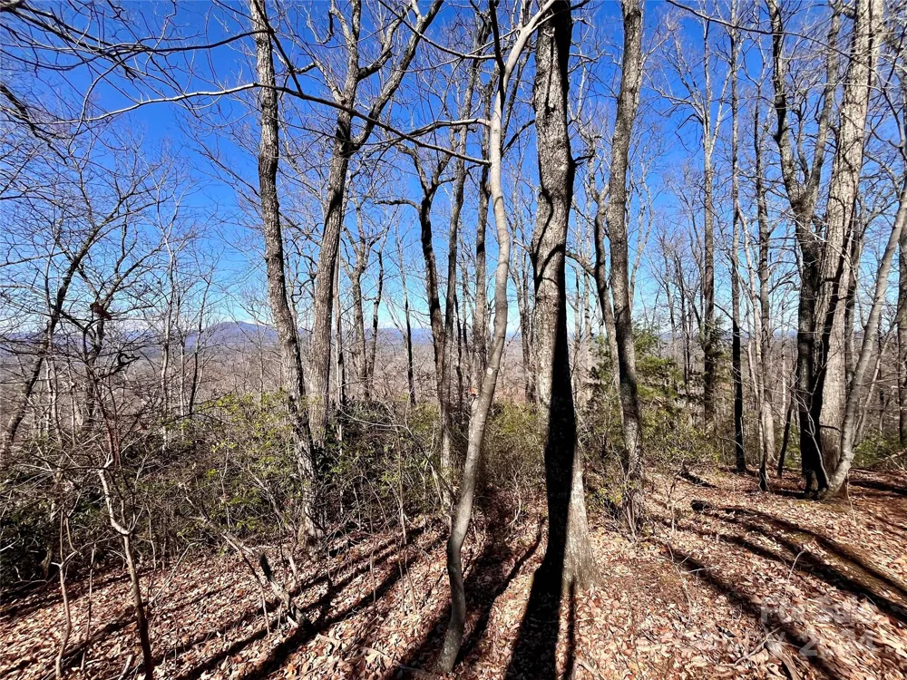 Lot 147 Big View Drive Marion, NC 28752