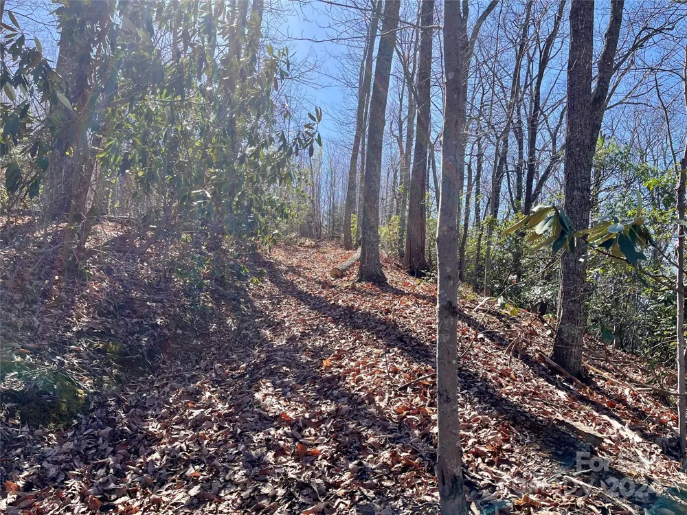 Lot 147 Big View Drive Marion, NC 28752
