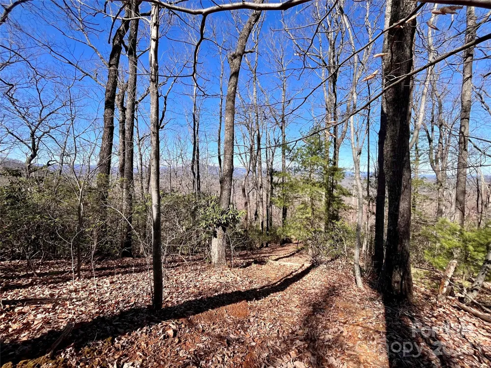 Lot 147 Big View Drive Marion, NC 28752