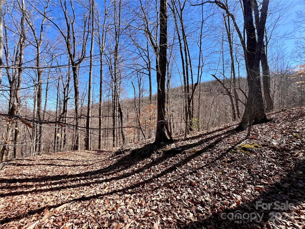 Lot 147 Big View Drive Marion, NC 28752