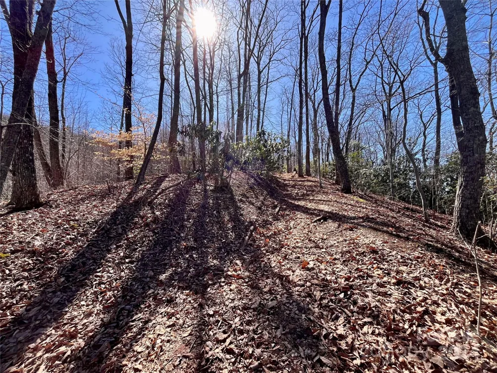 Lot 147 Big View Drive Marion, NC 28752