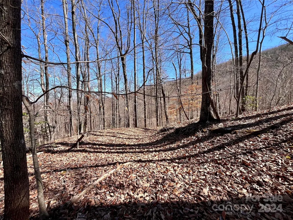 Lot 147 Big View Drive Marion, NC 28752