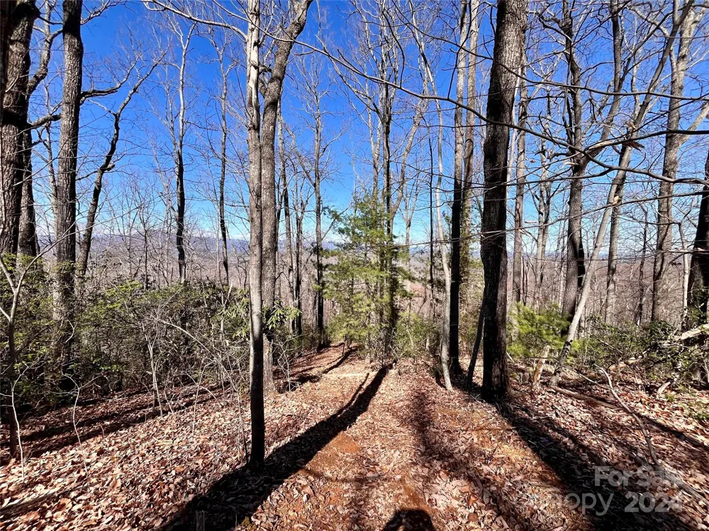 Lot 147 Big View Drive Marion, NC 28752