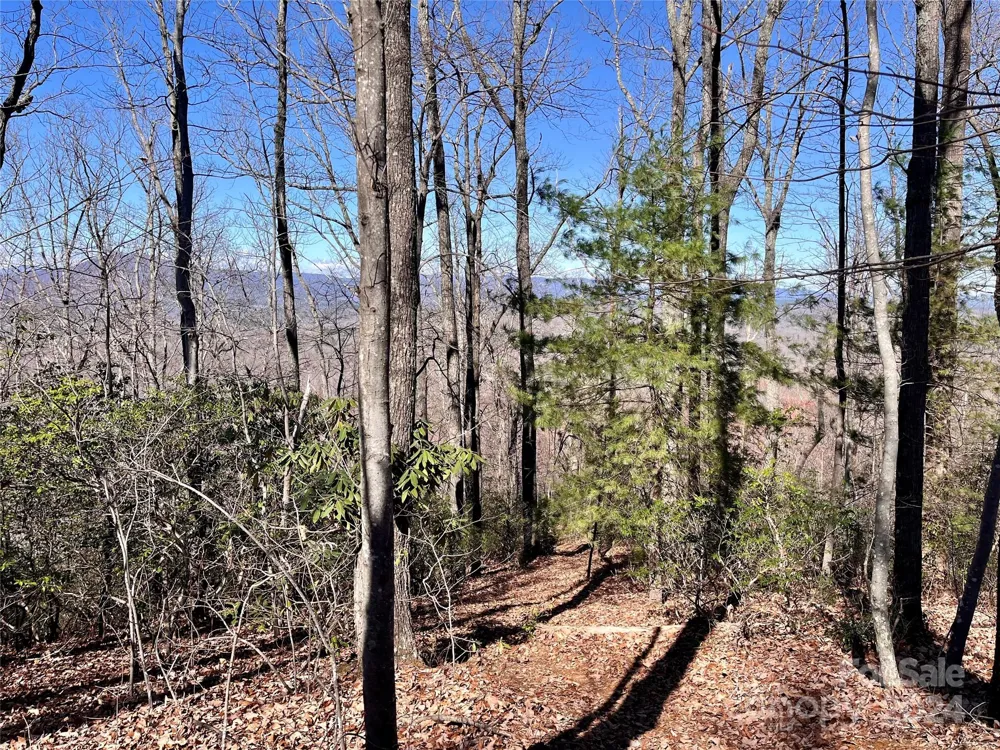 Lot 147 Big View Drive Marion, NC 28752