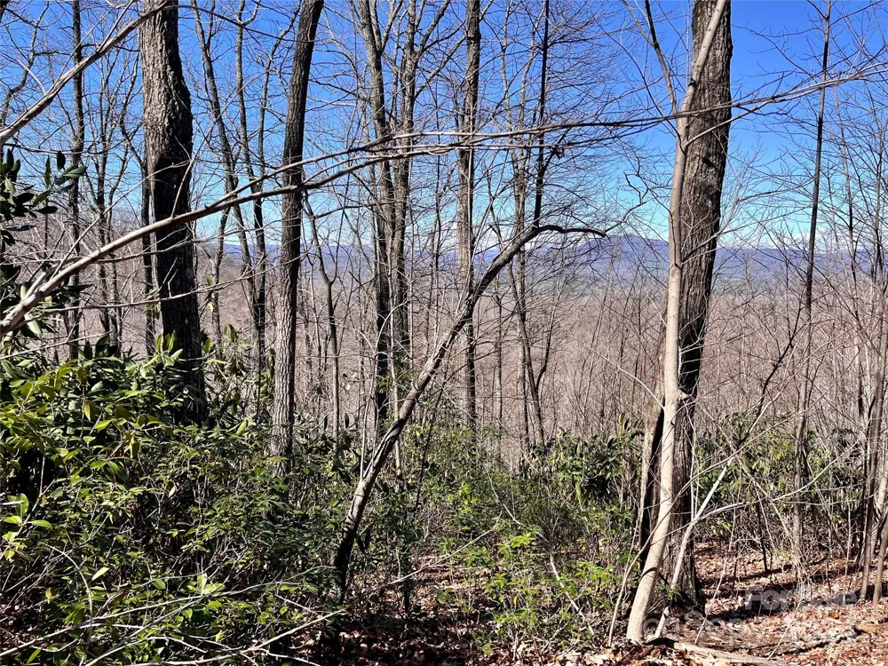 Lot 147 Big View Drive Marion, NC 28752