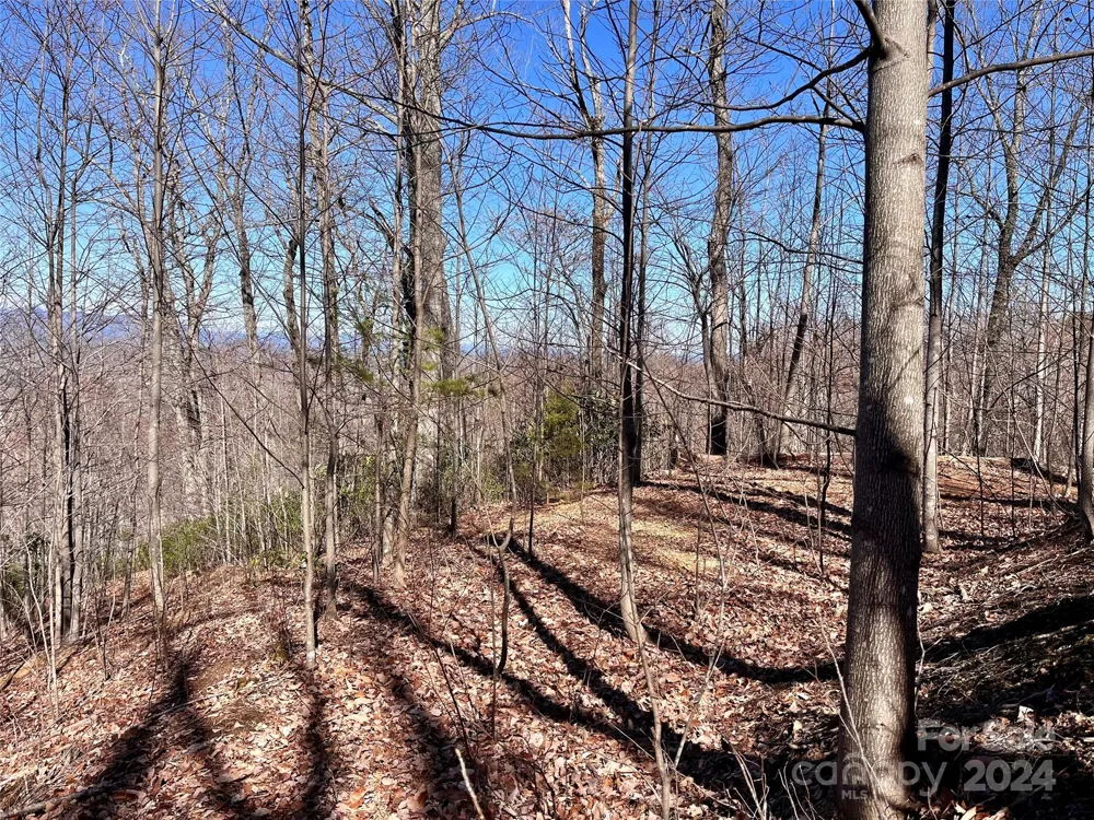 Lot 147 Big View Drive Marion, NC 28752
