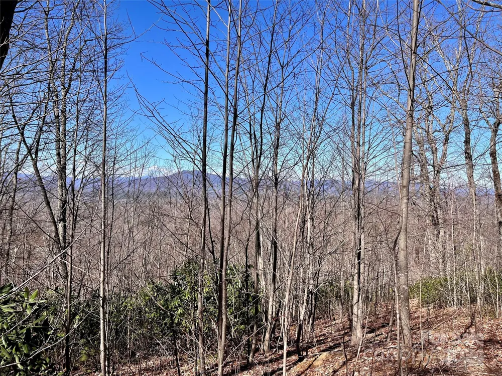Lot 147 Big View Drive Marion, NC 28752