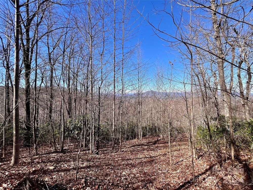 Lot 147 Big View Drive Marion, NC 28752