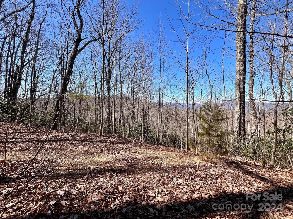 Lot 147 Big View Drive Marion, NC 28752
