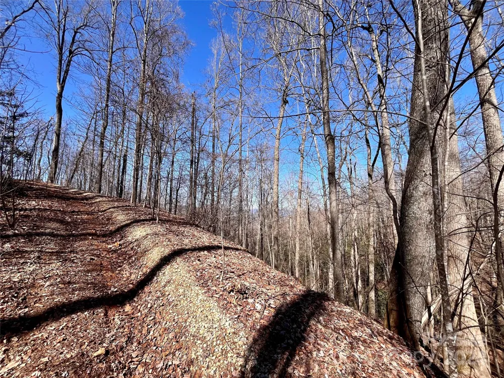 Lot 147 Big View Drive Marion, NC 28752