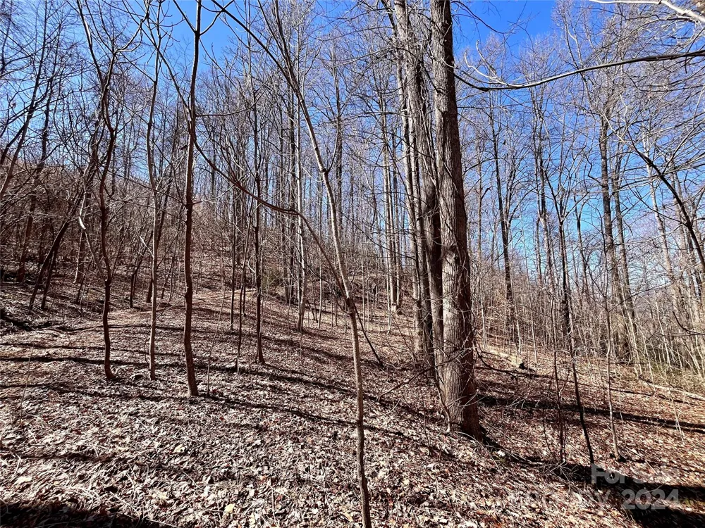 Lot 147 Big View Drive Marion, NC 28752