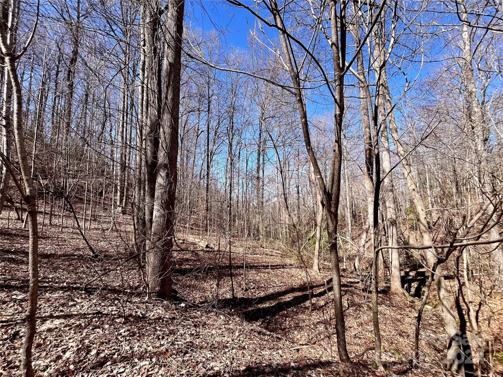 Lot 147 Big View Drive Marion, NC 28752