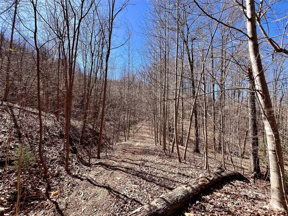 Lot 147 Big View Drive Marion, NC 28752