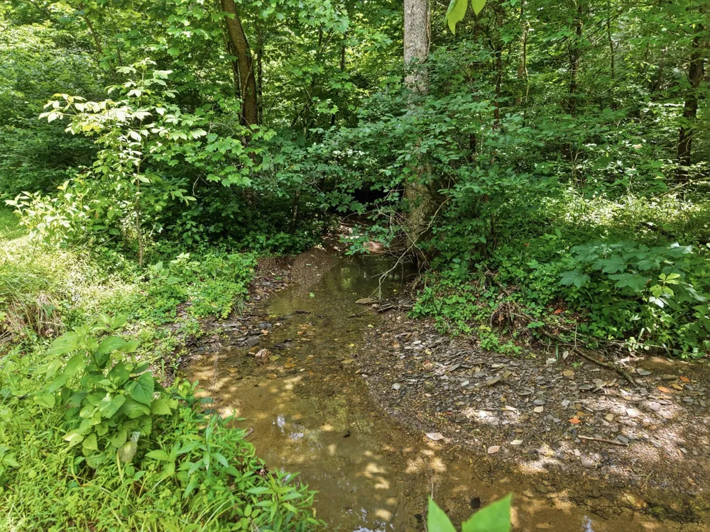 1639 Eucalyptus Dr Byrdstown, TN 38549