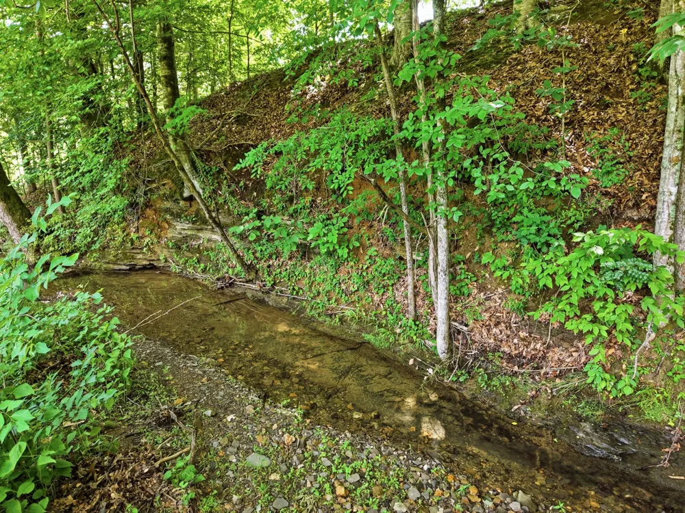 1639 Eucalyptus Dr Byrdstown, TN 38549