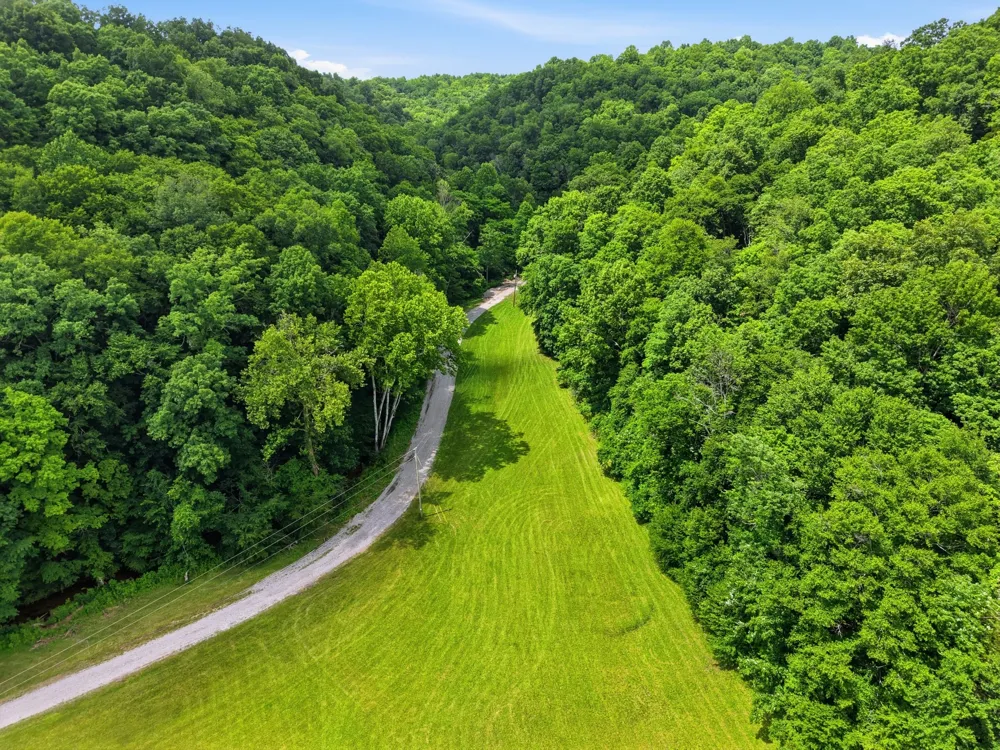 1639 Eucalyptus Dr Byrdstown, TN 38549