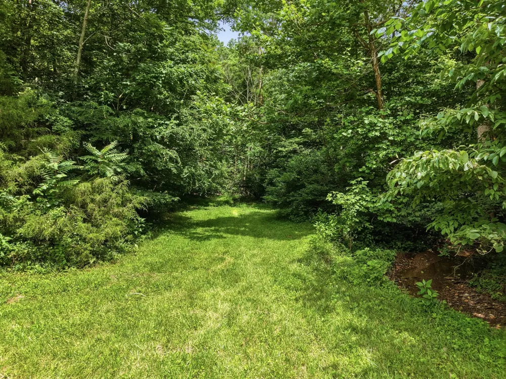 1639 Eucalyptus Dr Byrdstown, TN 38549
