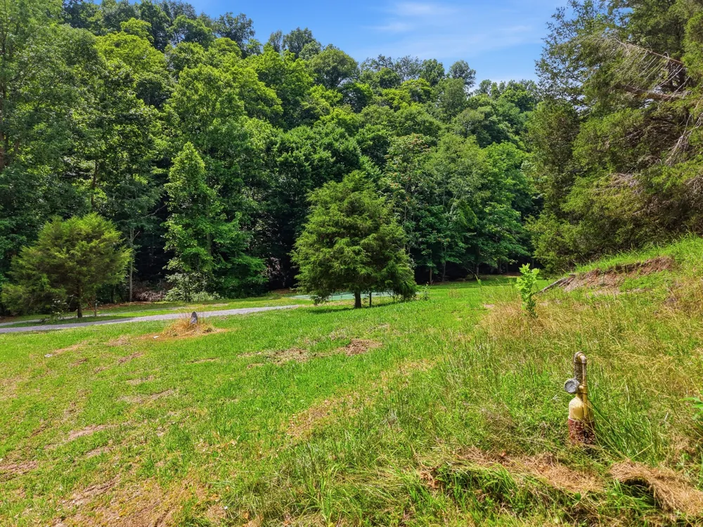 1639 Eucalyptus Dr Byrdstown, TN 38549