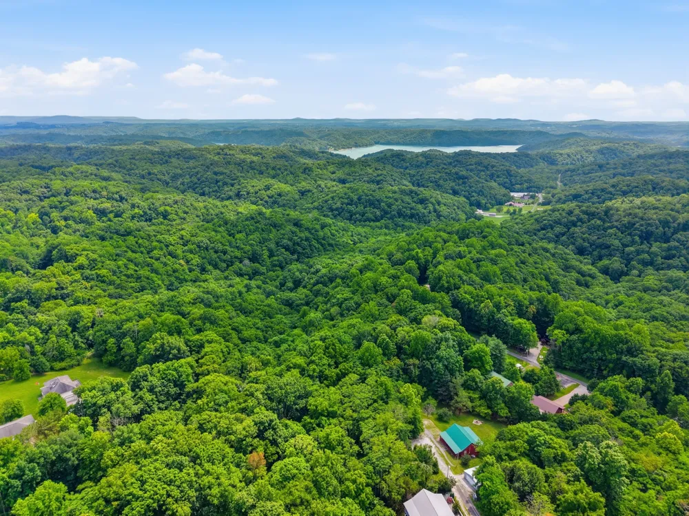 1639 Eucalyptus Dr Byrdstown, TN 38549