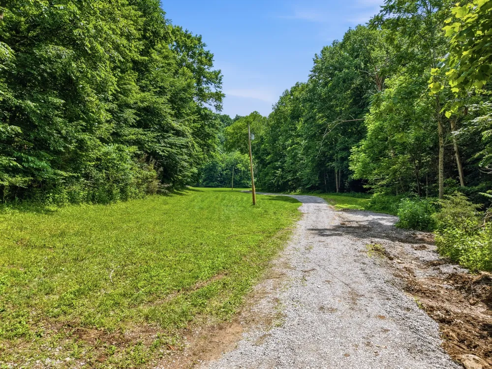 1639 Eucalyptus Dr Byrdstown, TN 38549