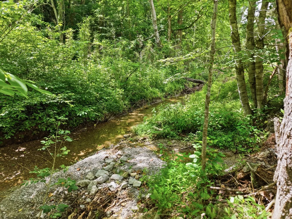 1639 Eucalyptus Dr Byrdstown, TN 38549