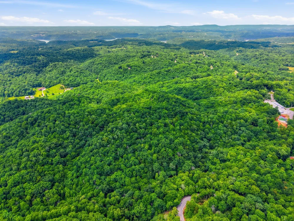1639 Eucalyptus Dr Byrdstown, TN 38549