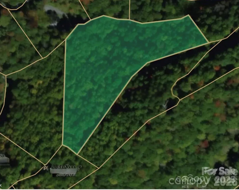 00 Seasons Drive #Lot 43 Clyde, NC 28721