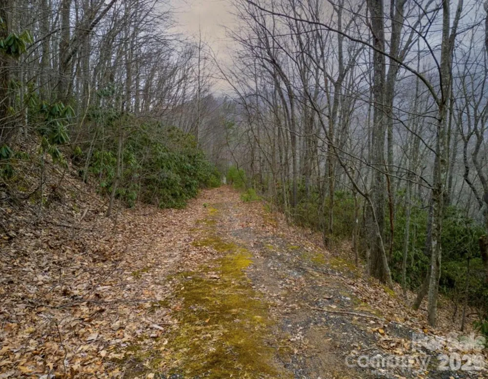00 Seasons Drive #Lot 43 Clyde, NC 28721