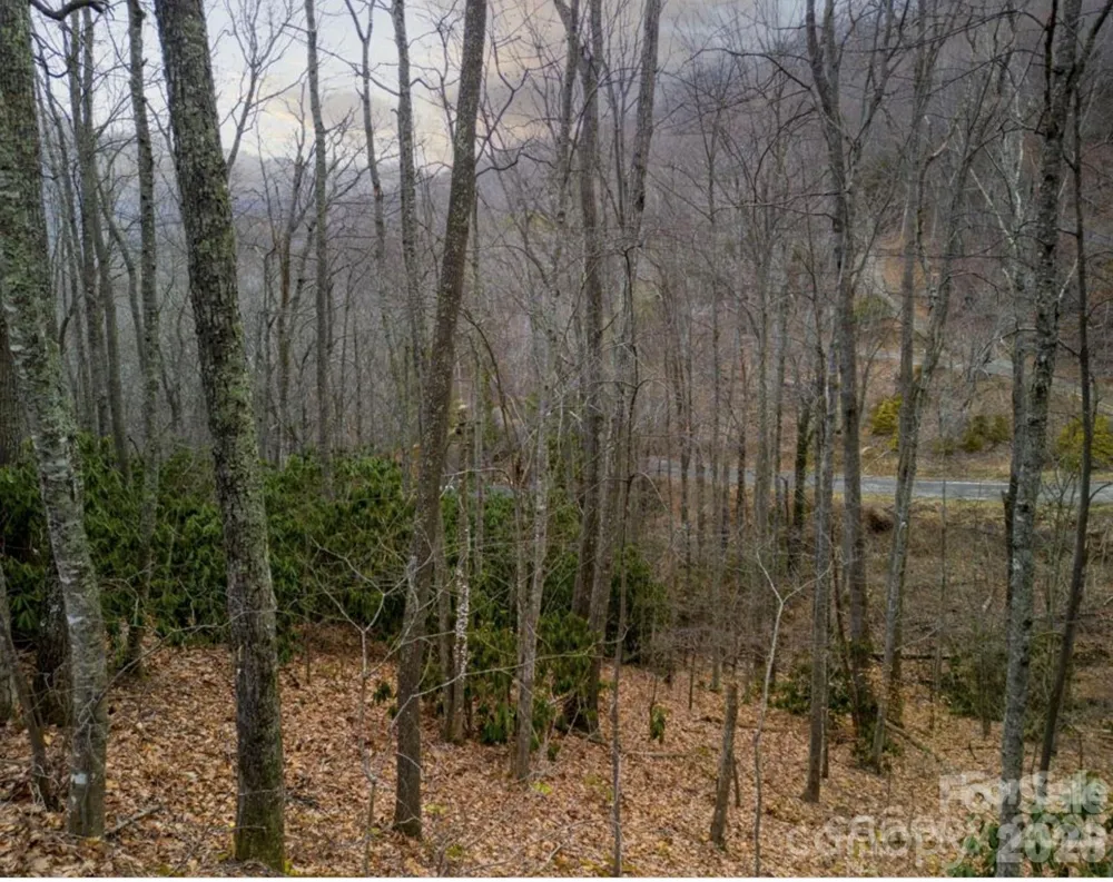 00 Seasons Drive #Lot 43 Clyde, NC 28721
