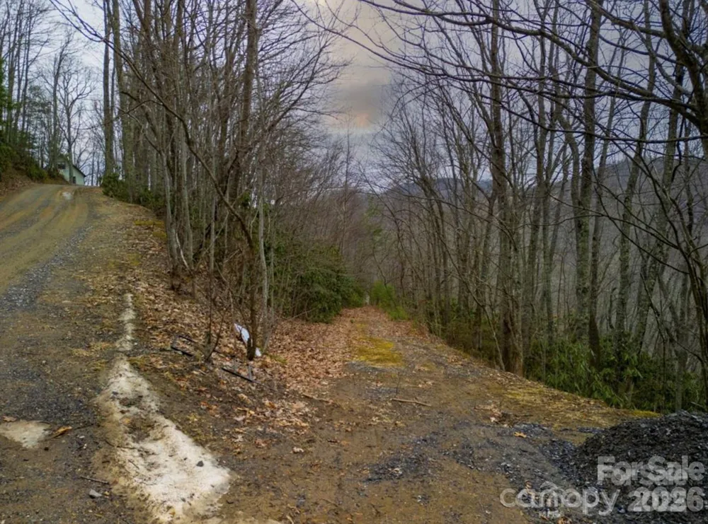 00 Seasons Drive #Lot 43 Clyde, NC 28721