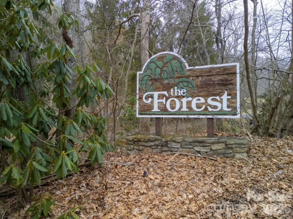 00 Seasons Drive #Lot 43 Clyde, NC 28721