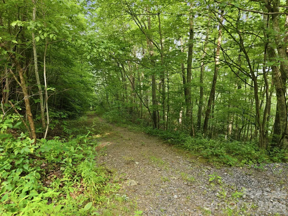 00 Seasons Drive #Lot 43 Clyde, NC 28721