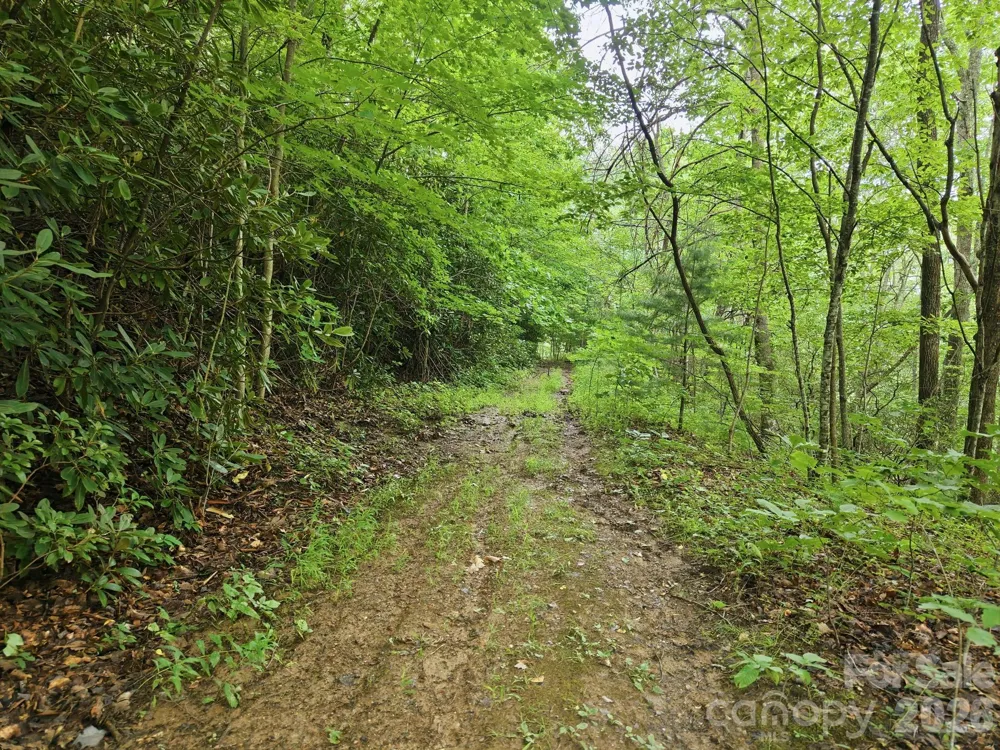 00 Seasons Drive #Lot 43 Clyde, NC 28721