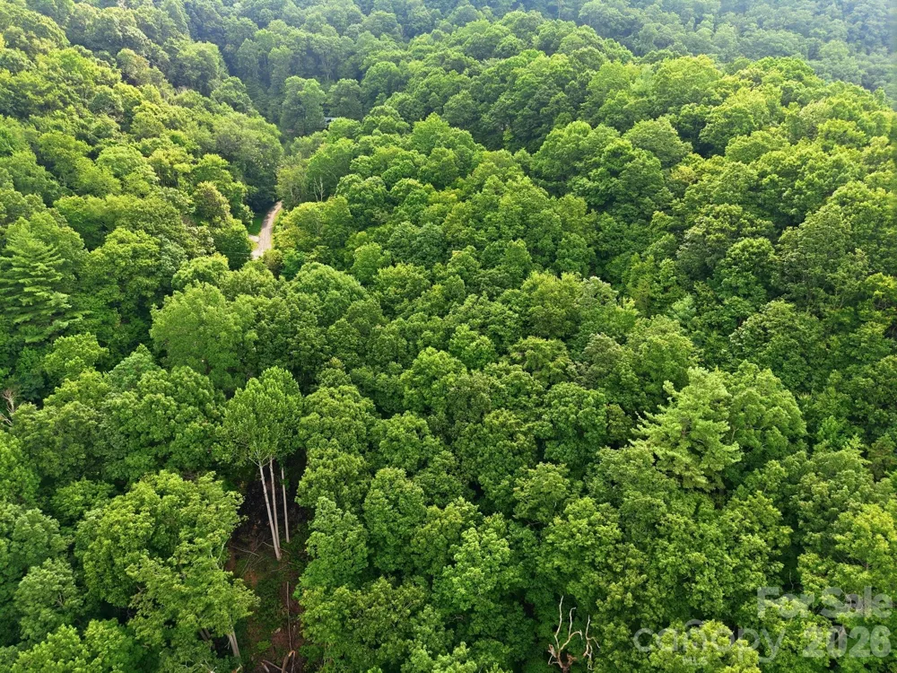 00 Seasons Drive #Lot 43 Clyde, NC 28721