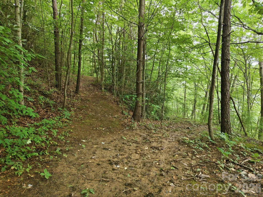 00 Seasons Drive #Lot 43 Clyde, NC 28721