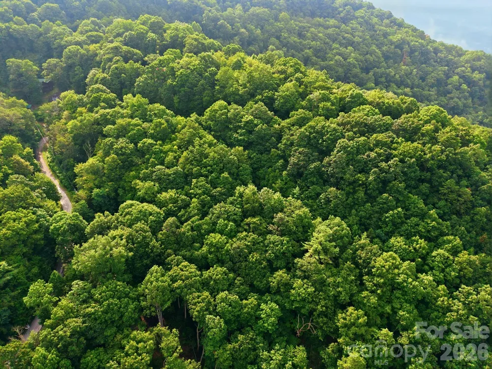 00 Seasons Drive #Lot 43 Clyde, NC 28721