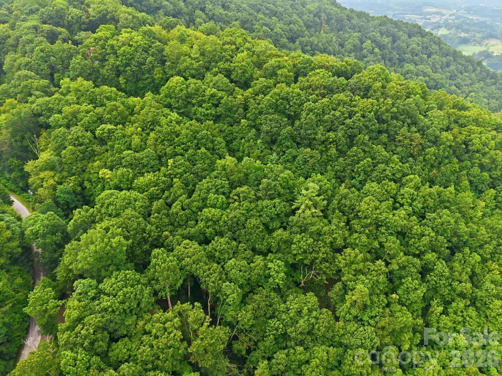 00 Seasons Drive #Lot 43 Clyde, NC 28721