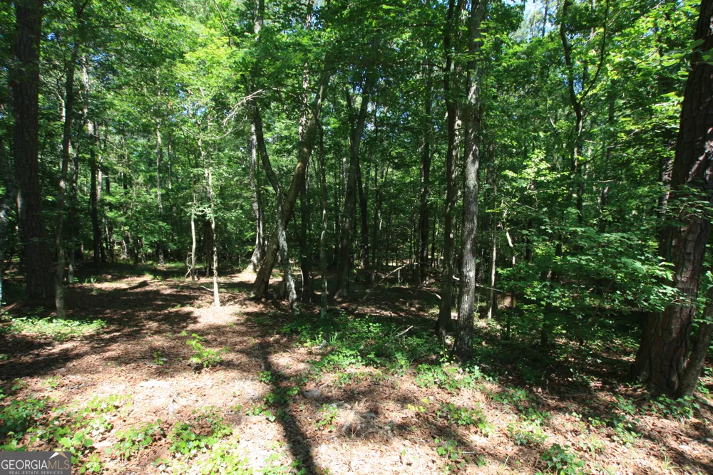 0 McGee Bend RD Rome, GA 30165
