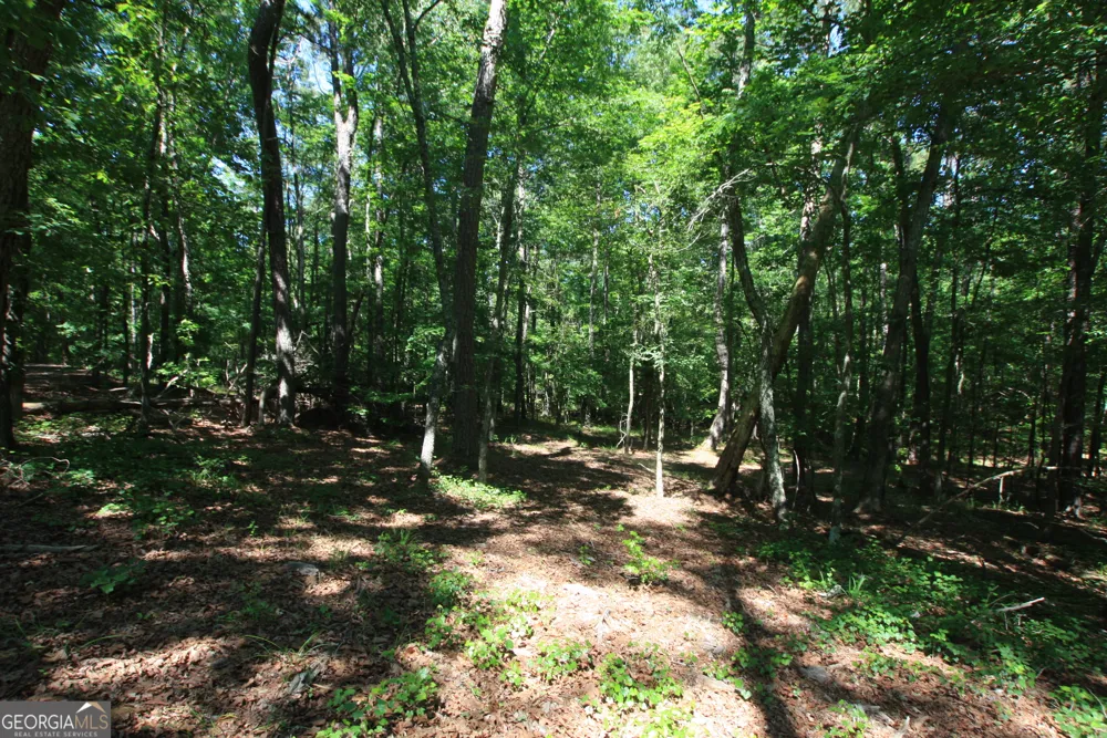 0 McGee Bend RD Rome, GA 30165