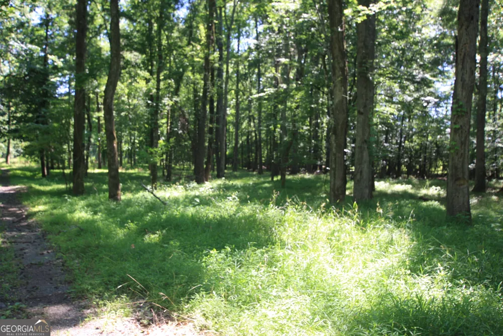 0 McGee Bend RD Rome, GA 30165