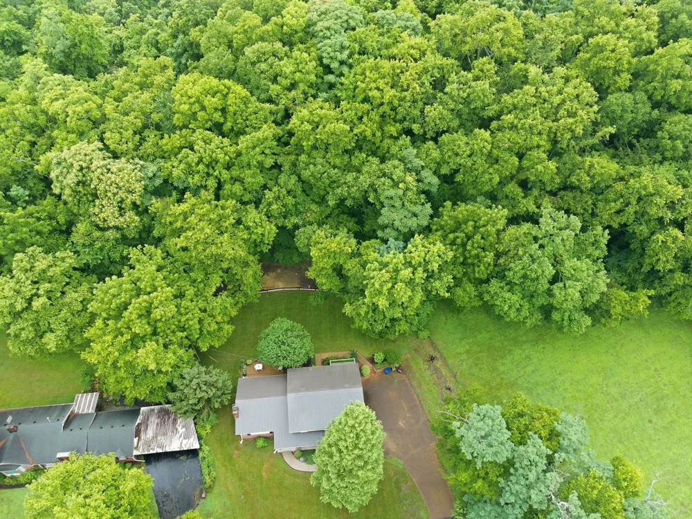 104 Fairview Drive Mount Pleasant, TN 38474