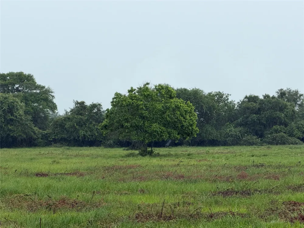 Cr 476 Blessing, TX 77419