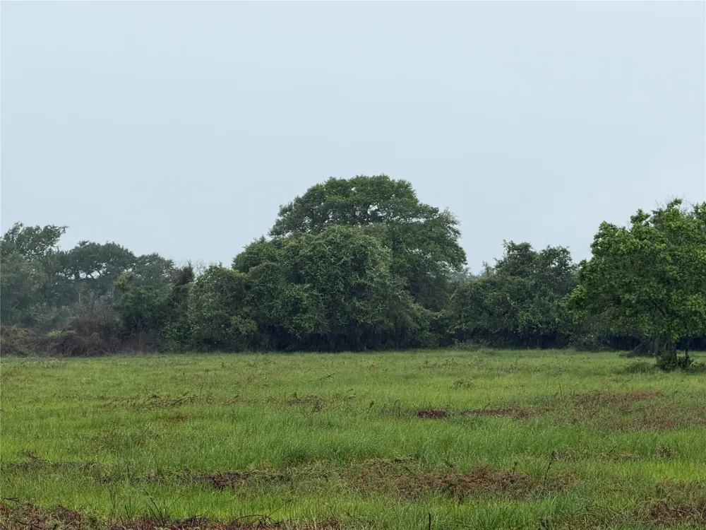 Cr 476 Blessing, TX 77419