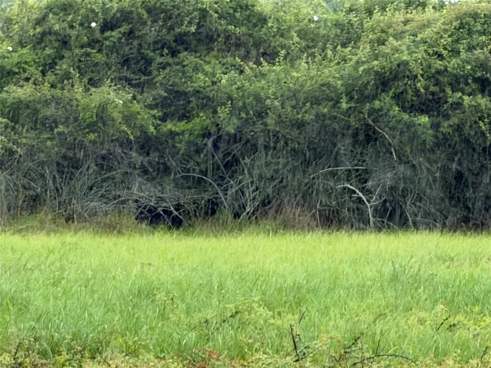 Cr 476 Blessing, TX 77419