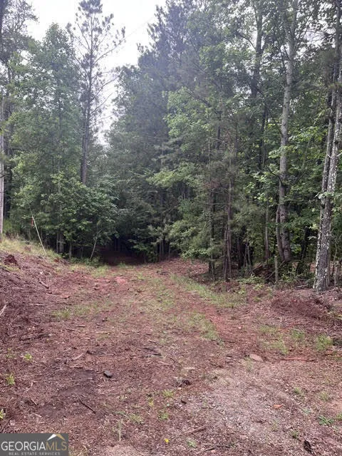 0 Dobbs Mountain RD