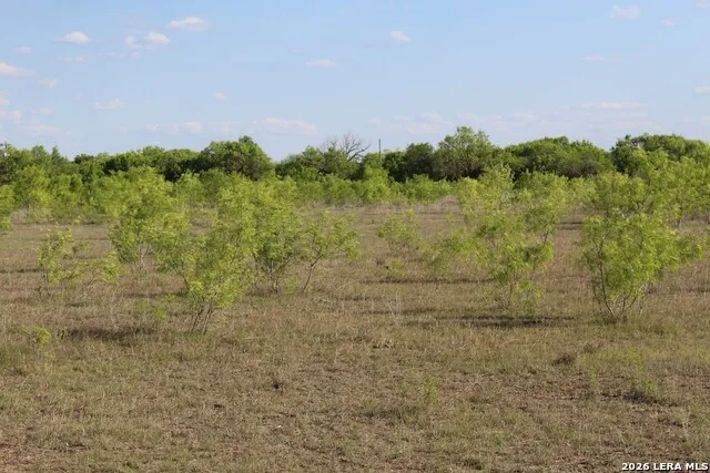 245 County Road 356 Utopia, TX 78884