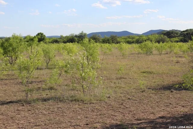 245 County Road 356 Utopia, TX 78884