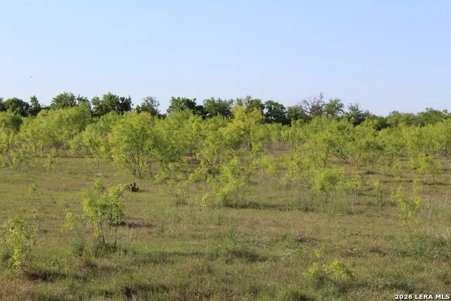 245 County Road 356 Utopia, TX 78884