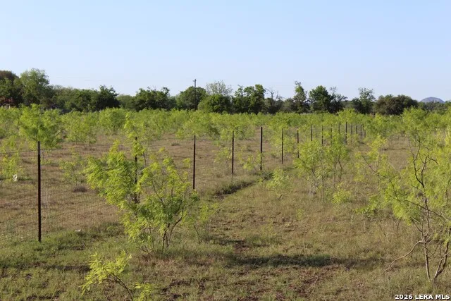 245 County Road 356 Utopia, TX 78884
